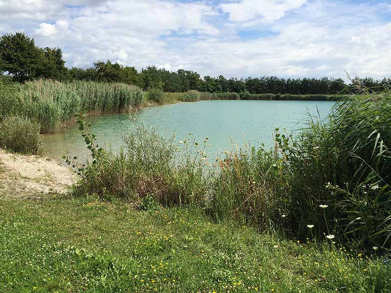 Trasdorfer See (Trasdorf, Niederösterreich)