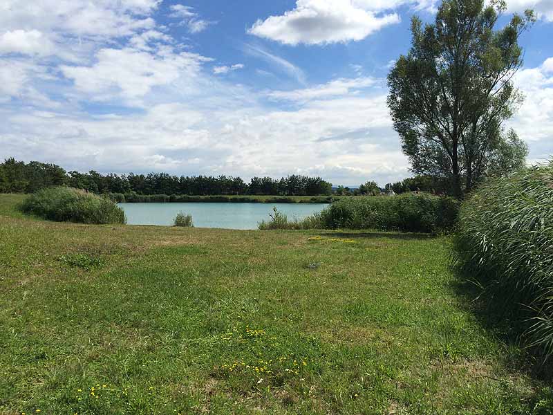 Trasdorfer See (Trasdorf, Niederösterreich)