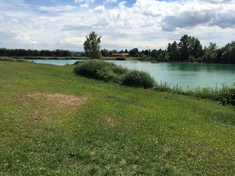 Trasdorfer See (Trasdorf, Niederösterreich)