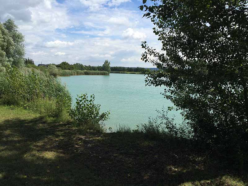 Trasdorfer See (Trasdorf, Niederösterreich)