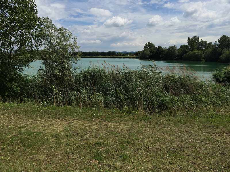 Trasdorfer See (Trasdorf, Niederösterreich)