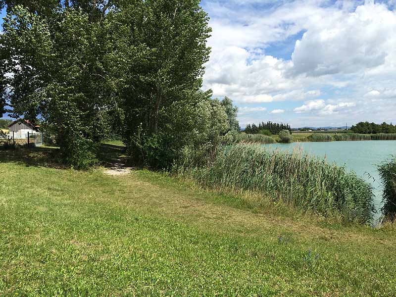 Trasdorfer See (Trasdorf, Niederösterreich)