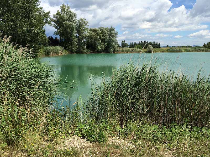 Trasdorfer See (Trasdorf, Niederösterreich)