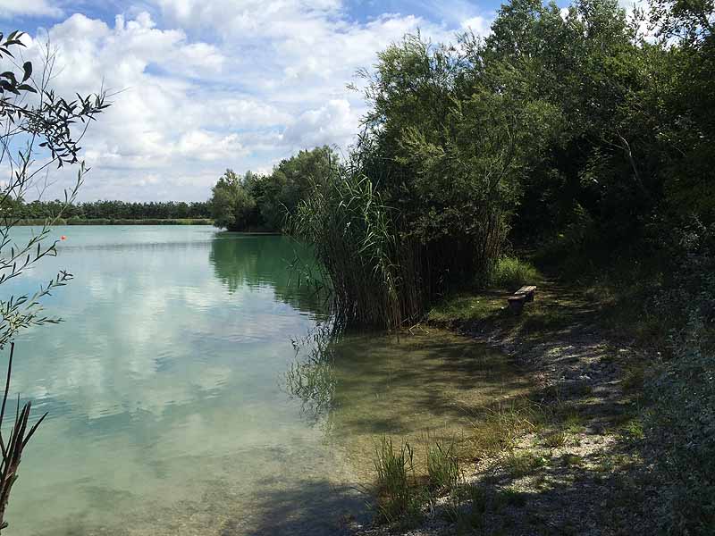 Trasdorfer See (Trasdorf, Niederösterreich)