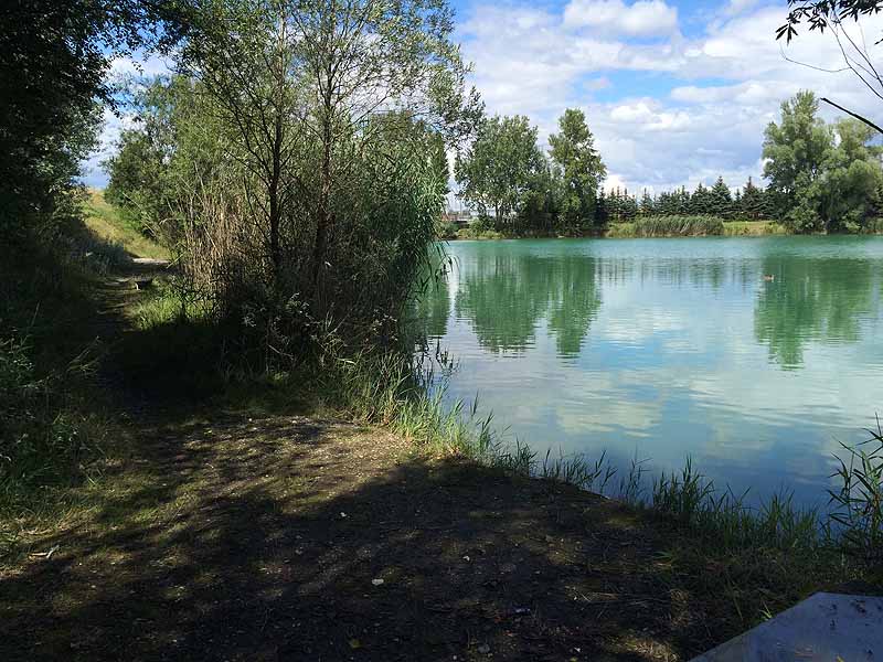 Trasdorfer See (Trasdorf, Niederösterreich)