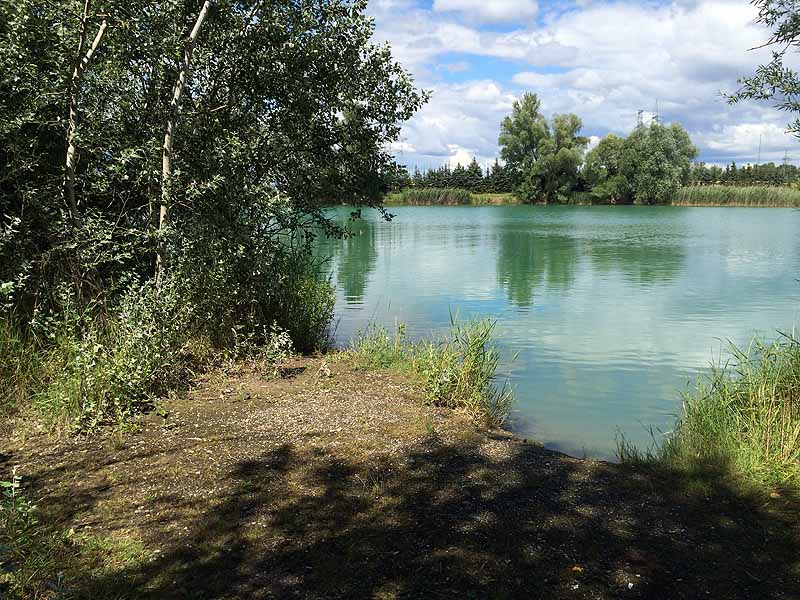 Trasdorfer See (Trasdorf, Niederösterreich)