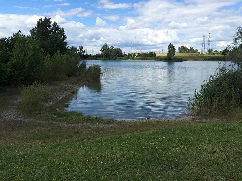 Trasdorfer See (Trasdorf, Niederösterreich)