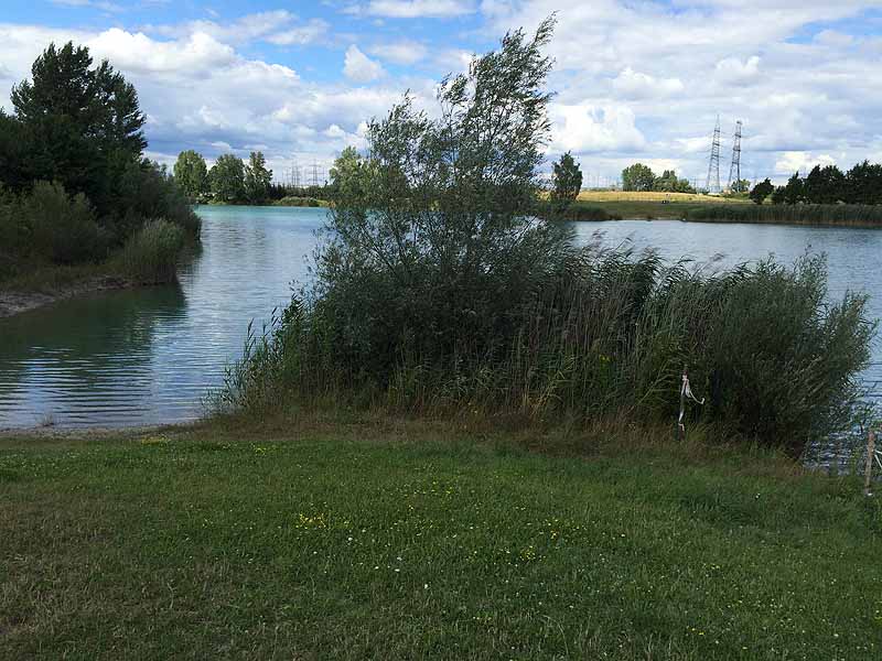 Trasdorfer See (Trasdorf, Niederösterreich)