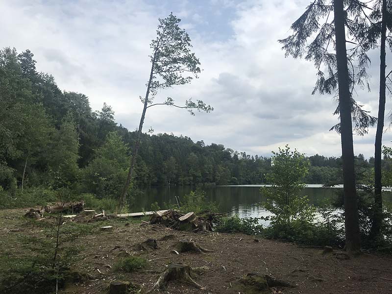 Tüttensee (Marwang, Bayern)