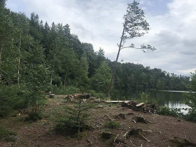 Tüttensee (Marwang, Bayern)