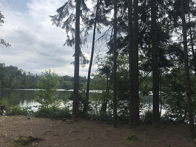 Tüttensee (Marwang, Bayern)