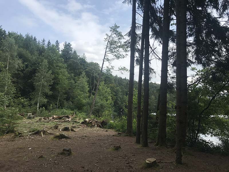 Tüttensee (Marwang, Bayern)