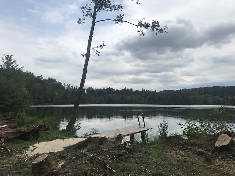 Tüttensee (Marwang, Bayern)