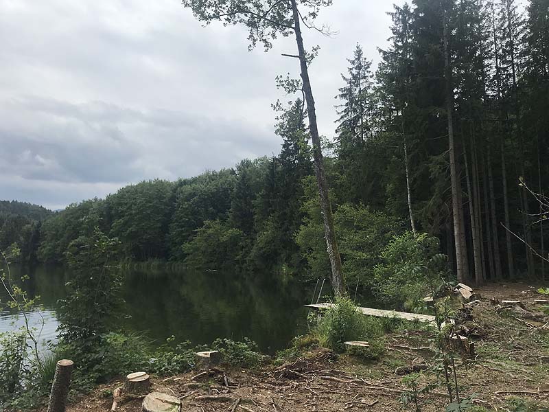 Tüttensee (Marwang, Bayern)