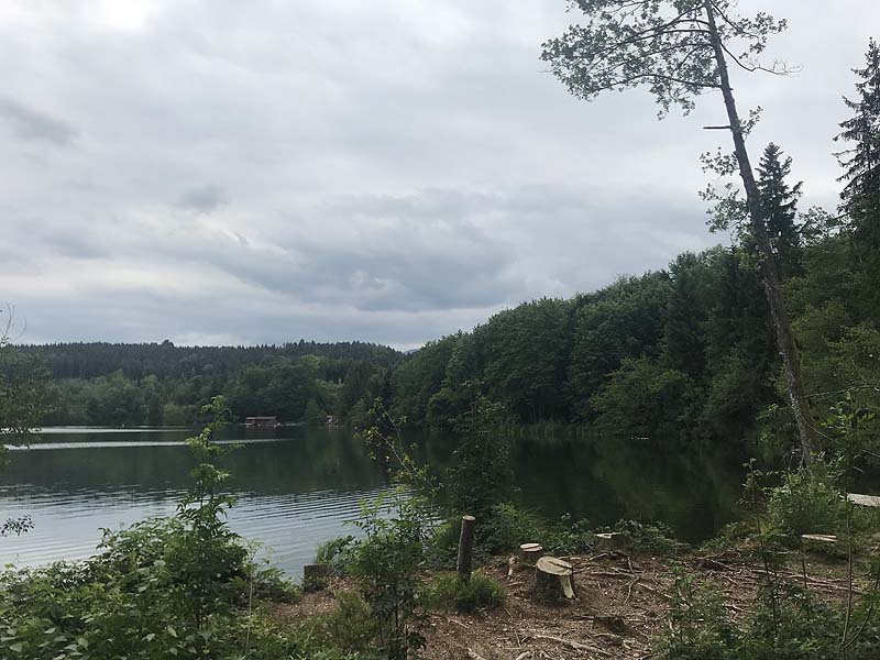 Tüttensee (Marwang, Bayern)