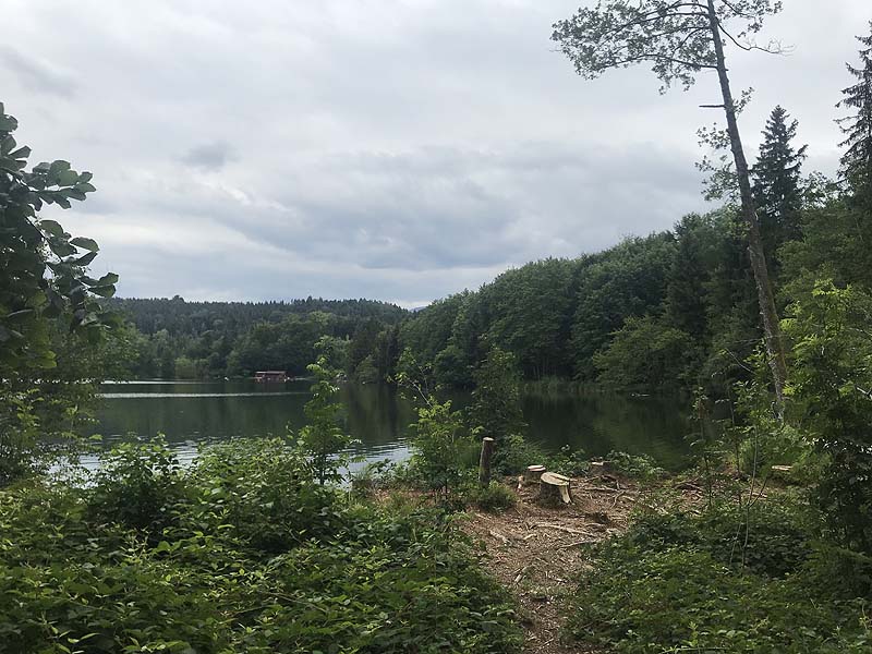 Tüttensee (Marwang, Bayern)