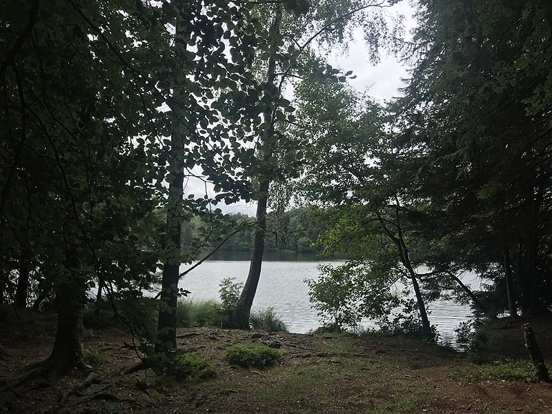 Tüttensee (Marwang, Bayern)