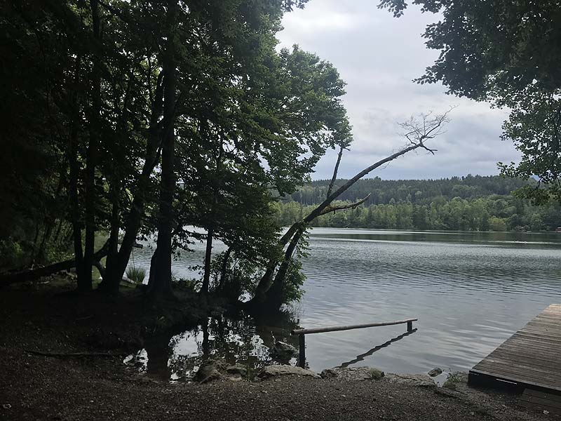 Tüttensee (Marwang, Bayern)