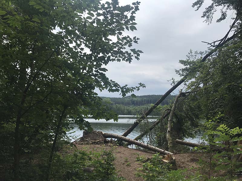 Tüttensee (Marwang, Bayern)