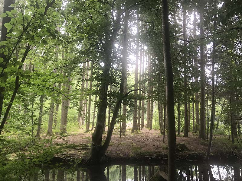 Tüttensee (Marwang, Bayern)