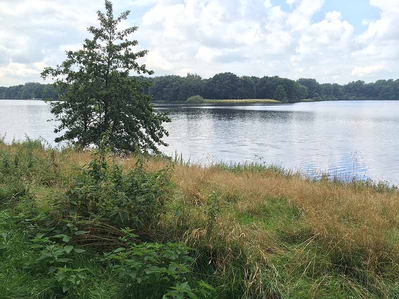 Tweelbäker See (Oldenburg, Niedersachsen)