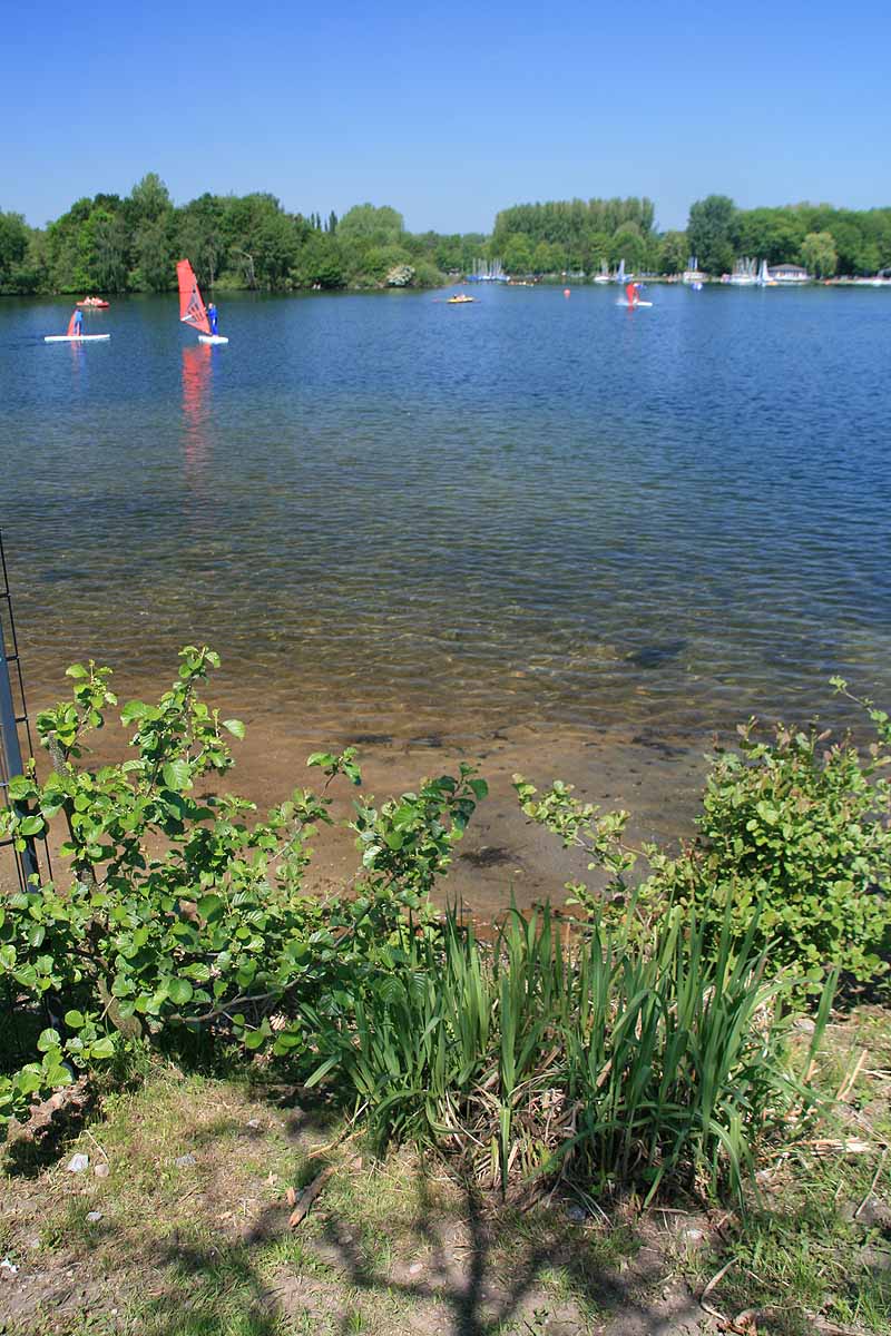 Unterbacher See (Düsseldorf, Nordrhein-Westfalen)