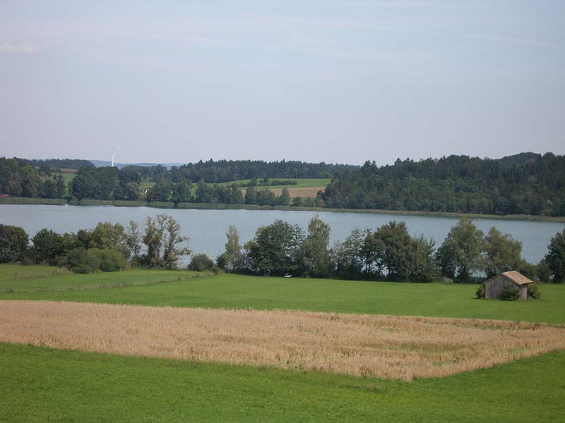 Waginger See bei Traunstein (Bayern)