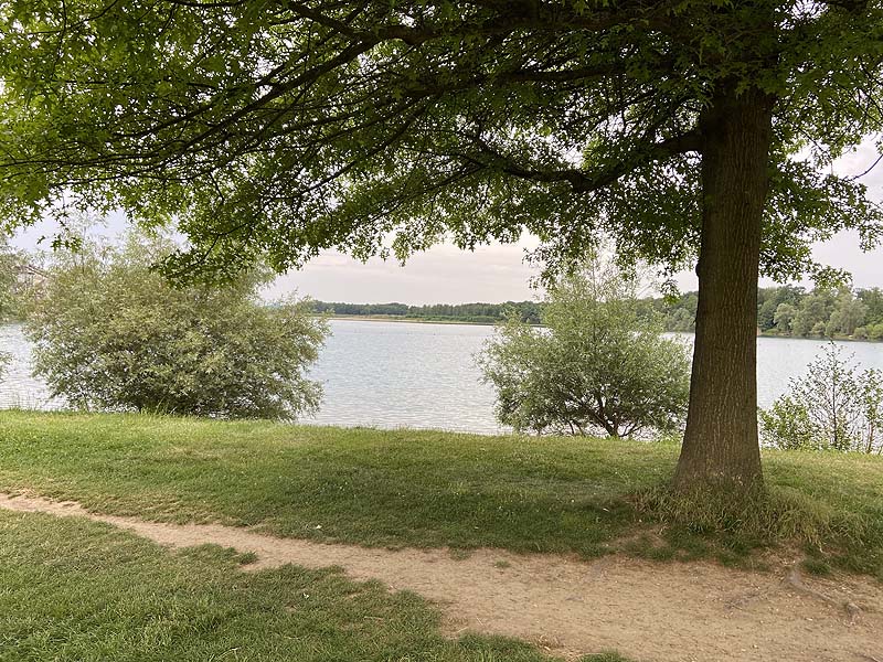 Der Badesee Waldmattensee in Lahr in Baden-Württemberg