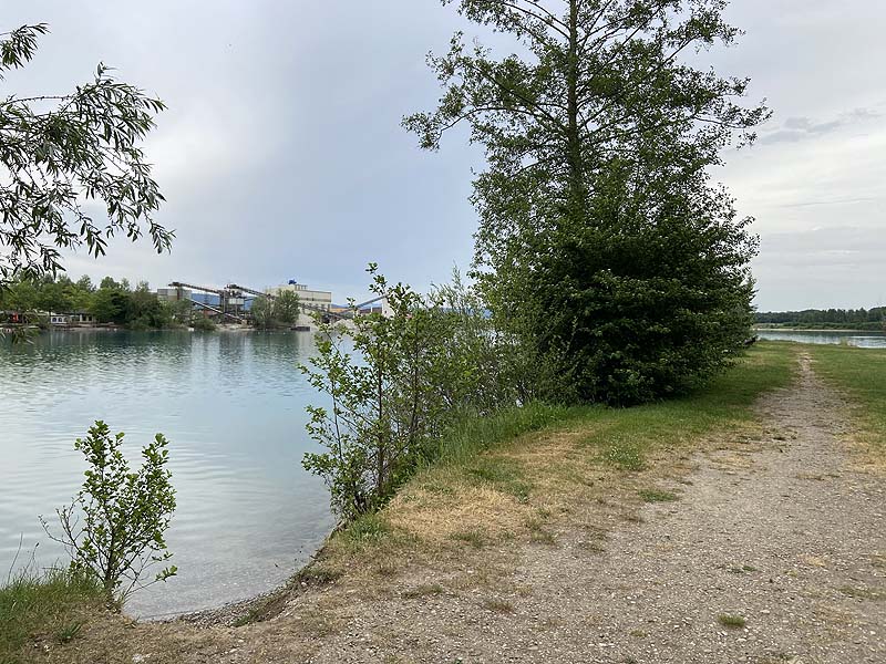 Der Badesee Waldmattensee in Lahr in Baden-Württemberg