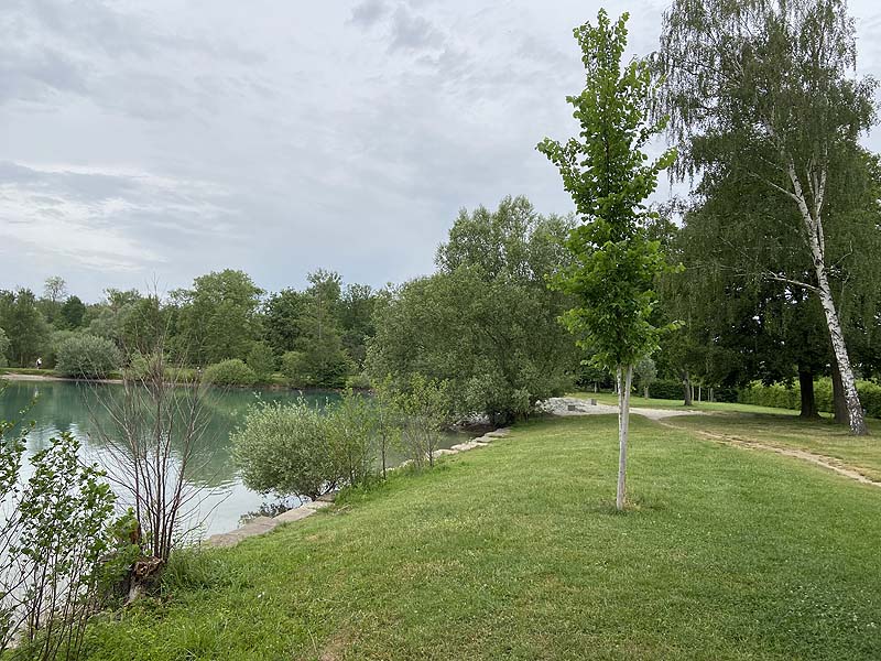 Der Badesee Waldmattensee in Lahr in Baden-Württemberg