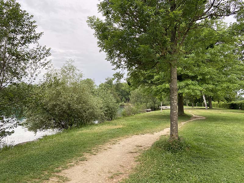 Der Badesee Waldmattensee in Lahr in Baden-Württemberg