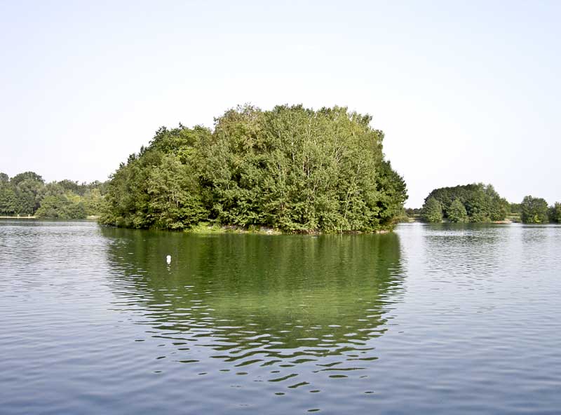 Waldschwaigsee (Bayern)