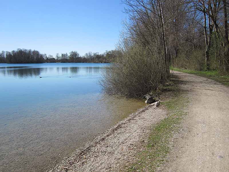 Waldschwaigsee (Bayern)