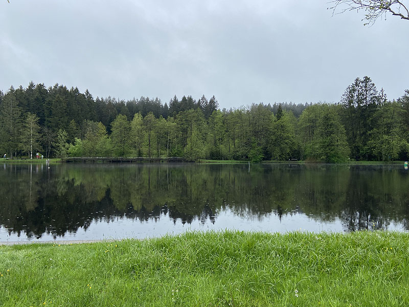 Der Waldsee in Lindenberg im Allgäu