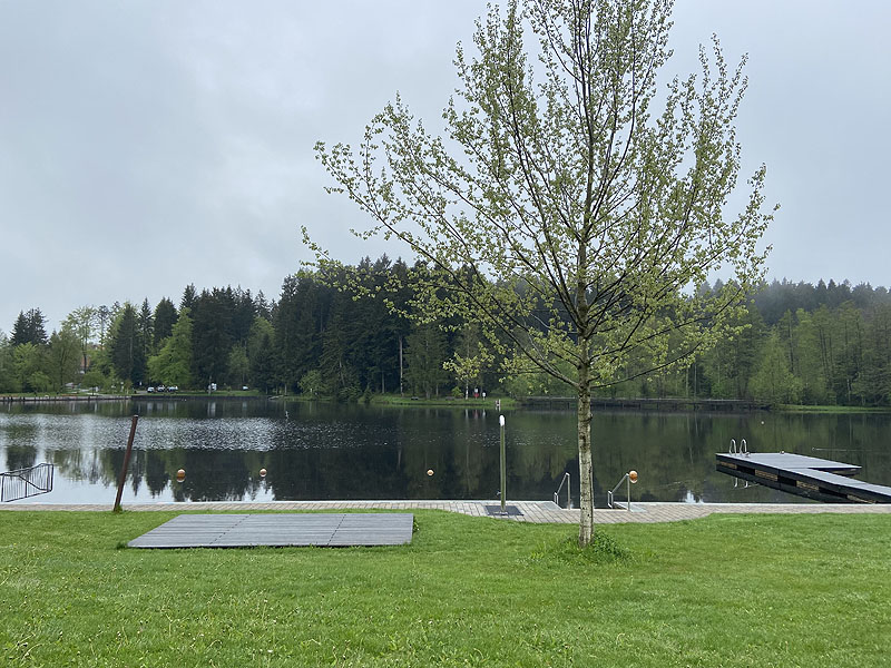 Der Waldsee in Lindenberg im Allgäu