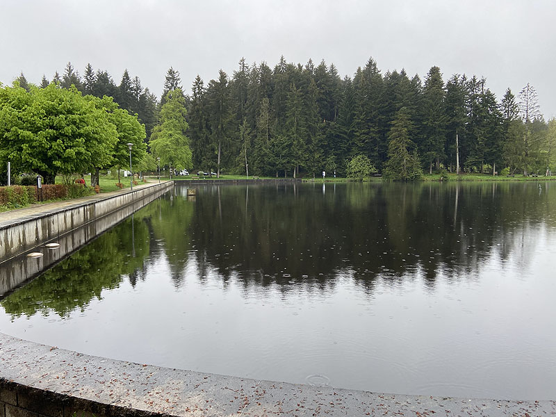 Der Waldsee in Lindenberg im Allgäu