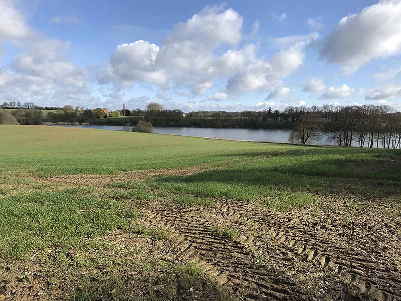 Wardersee (Warderbrück, Schleswig-Holstein)