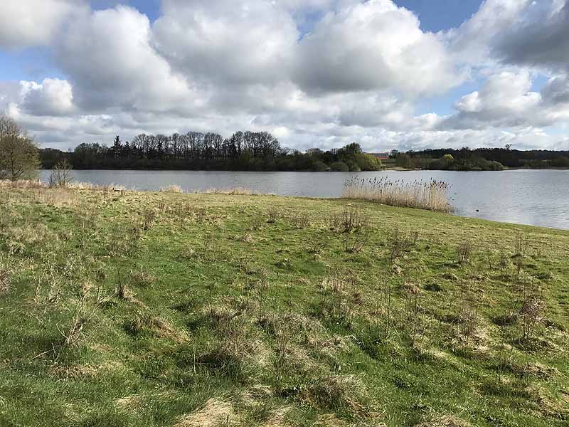 Wardersee (Warderbrück, Schleswig-Holstein)