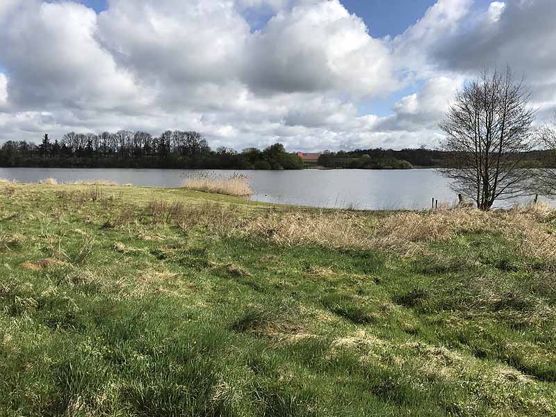 Wardersee (Warderbrück, Schleswig-Holstein)