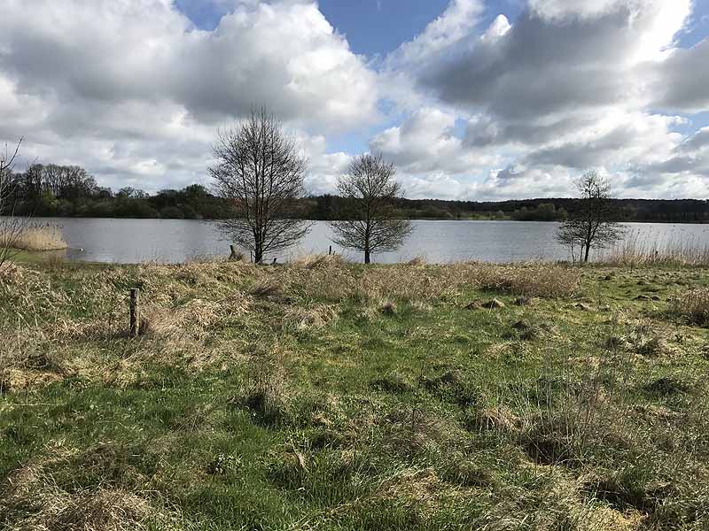 Wardersee (Warderbrück, Schleswig-Holstein)