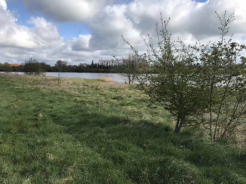 Wardersee (Warderbrück, Schleswig-Holstein)