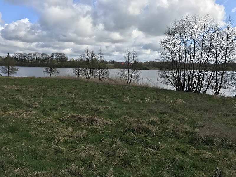 Wardersee (Warderbrück, Schleswig-Holstein)
