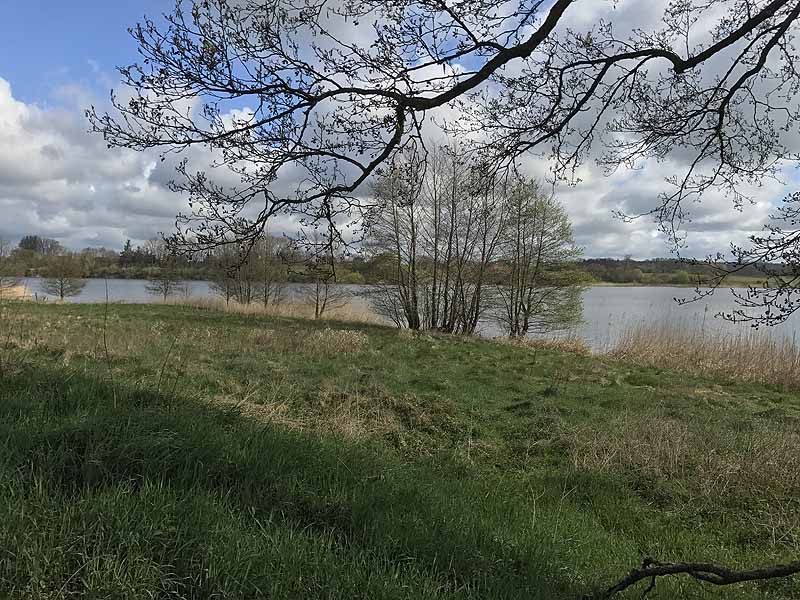 Wardersee (Warderbrück, Schleswig-Holstein)