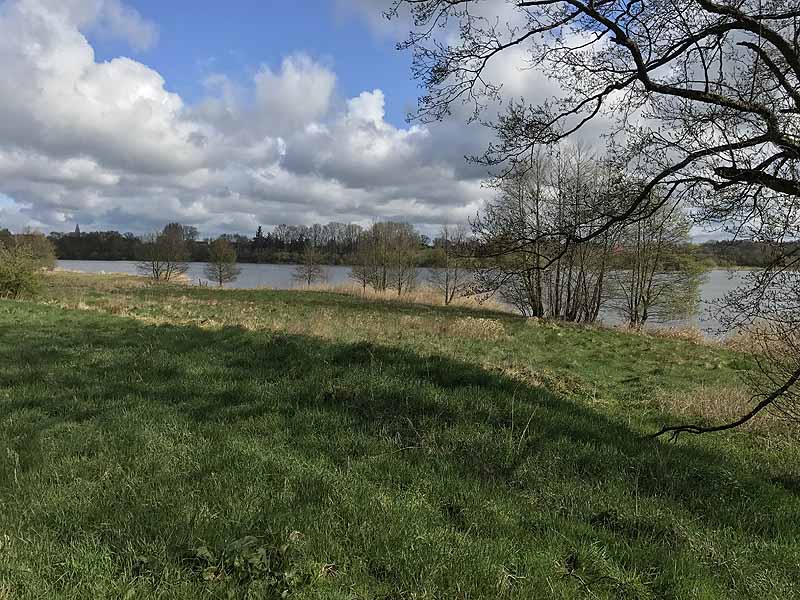 Wardersee (Warderbrück, Schleswig-Holstein)