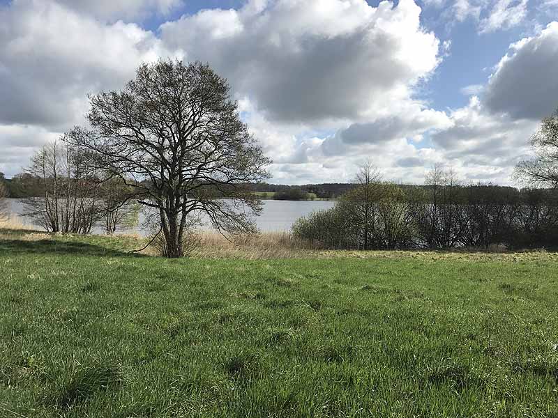 Wardersee (Warderbrück, Schleswig-Holstein)