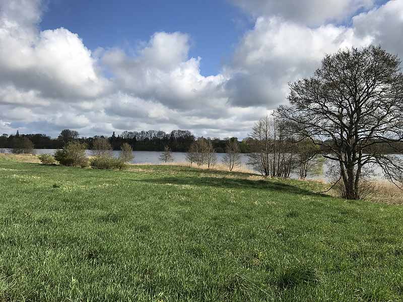 Wardersee (Warderbrück, Schleswig-Holstein)