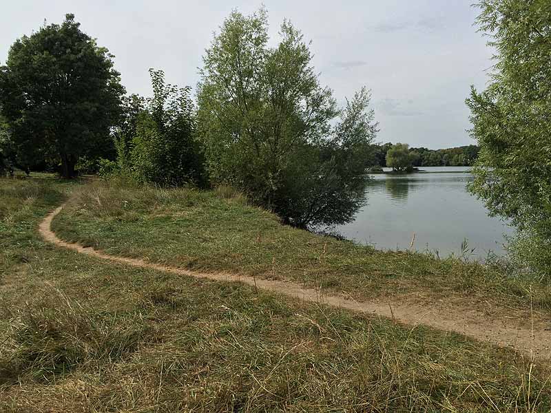 Wechselsee (Biebesheim am Rhein, Hessen)