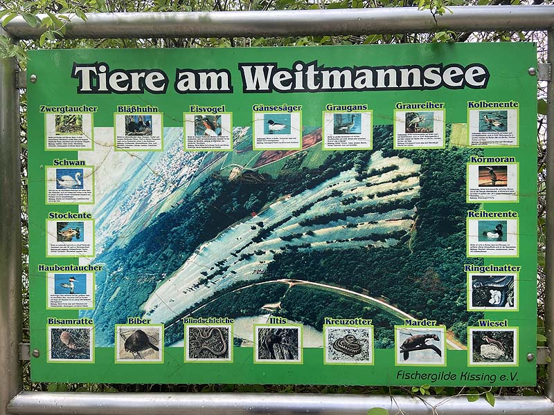 Der Badesee Weitmannsee bei Augsburg