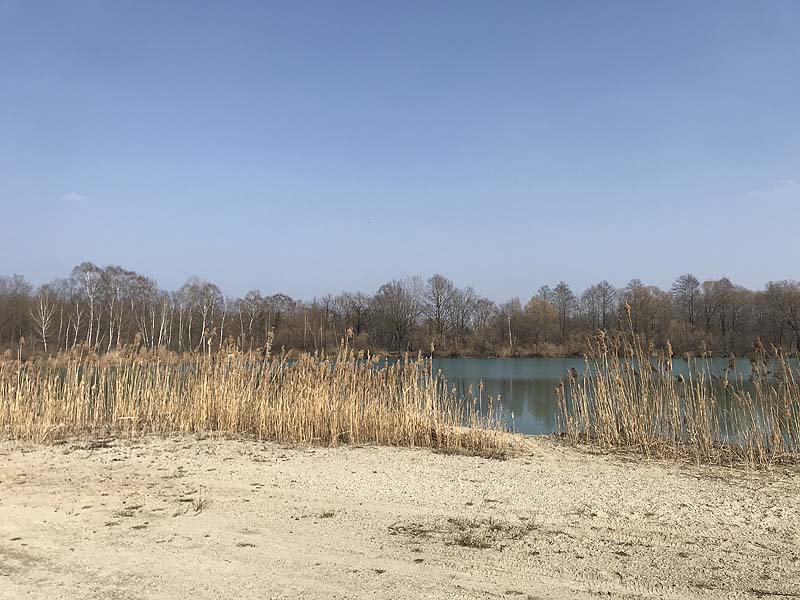 FKK in Obergrashof - Der westlich gelegene See