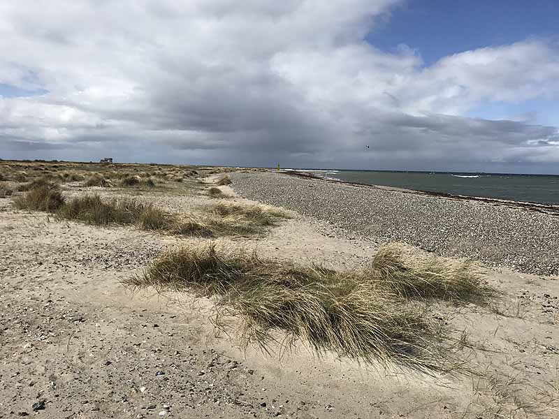 Ostseestrand bei Westermarkelsdorf (Fehmarn, Schleswig-Holstein)